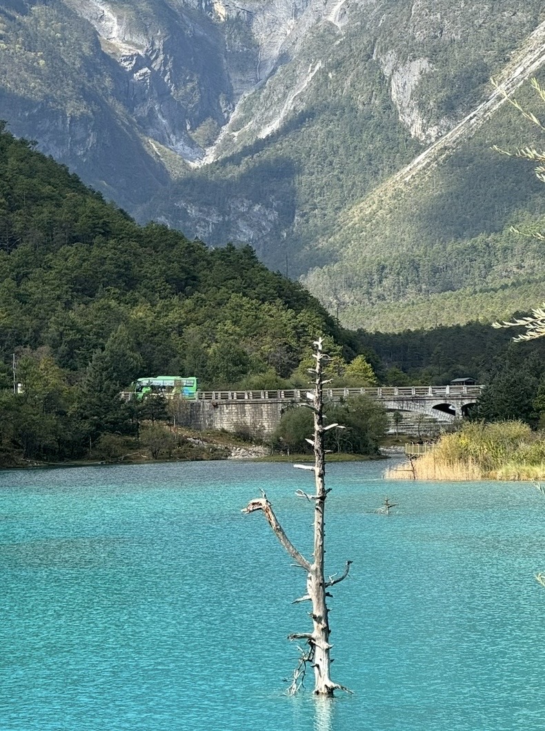 Blue Moon Valley